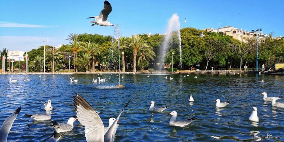 Torrevieja Experience Mar Azul Apartment Bagian luar foto